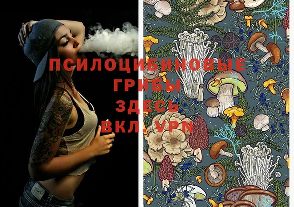 MDMA Алексин
