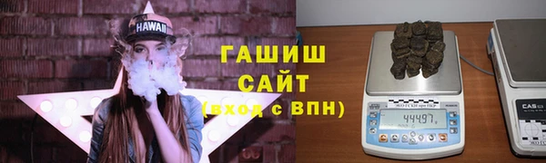 индика Алзамай