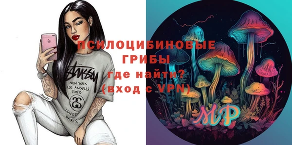 индика Алзамай